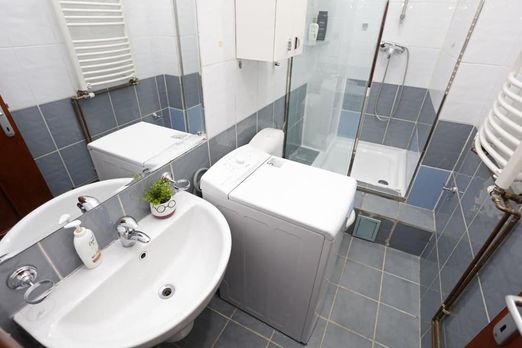 1 Bdrm Apartment In City Center Bukarest Eksteriør billede