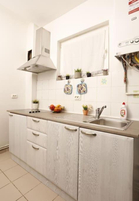 1 Bdrm Apartment In City Center Bukarest Eksteriør billede